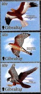 GIBRALTAR 2001 BIRDS Of PREY / RAPTORS  MNH FALCONS  (3ALL) - Collections, Lots & Séries