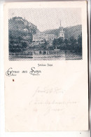 5413 BENDORF - SAYN, Schloss, 1900 - Bendorf