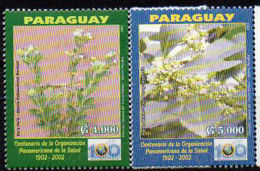 PARAGUAY 2002. Plantes Médicinales (2) - Medicinal Plants