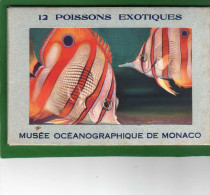 MONACO - MUSEE OCEANOGRAPHIQUE - CARNET DE12 CARTES EDIT  LES DOCUMENTS D'ART Monté-Carlo - Oceanographic Museum