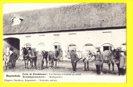 * Ruiselede - Ruysselede (bij Tielt) * (Uitgever Standaert) école De Bienfaisance, TOP, Chevaux Se Rendant Au Travail - Ruiselede