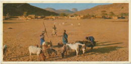 MALI - Le Spectre De La Secheresse Pese Sur La Vie De Chaque Village Sahelien, Ethnic, Stamp, Old Postcard - Malí