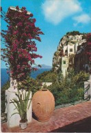 ITALIE,ITALIA,campania,ca Mpanie,ANACAPRI,ile De Capri,naples,napoli,plante,fleur,vase - Napoli (Neapel)