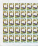 2005.521 CUBA COMPLETE MNH SHEET 2005 FUNGUS AND CARACOLES - Hojas Y Bloques