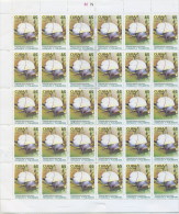 2005.521 CUBA COMPLETE MNH SHEET 2005 FUNGUS AND CARACOLES - Blocchi & Foglietti