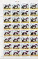 2005.507 CUBA MNH SHEET COMPLETE 2005 HORSE - Blocks & Sheetlets