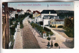 4902 BAD SALZUFLEN, Parkstrasse & Kurparkeingang, 1924 - Bad Salzuflen