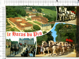 LE HARAS DU PIN  -  4 Vues  :   Vue Générale  -  Attelanges - Exmes