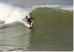 SURFING Sur La Cote Atlantique (sports Nautiques)  Photo Cazenave N°108 Lavielle Biarritz - Skateboard