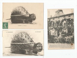 Delcampe - Cp ,13 , TARASCON , LOT DE 3 CARTES POSTALES - Tarascon