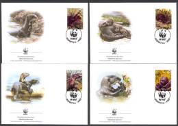 Nbj351fb WWF FAUNA ZOOGDIEREN REUZENOTTER RIESENOTTER MAMMALS PERU 2004 FDC´s - FDC