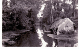 Méréville - Les Bords De La Juine - Mereville