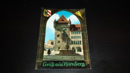 C-12827 CARTOLINA GRUSS AUS NURNBERG - NASSAUERHAUS UND TUGENDBRUNNEN - Neuburg