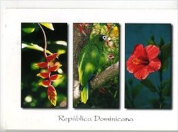 RDOM001 - République Dominicaine - Flore Et Faune - Repubblica Dominicana