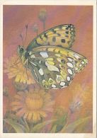 389- BUTTERFLY, FLOWERS, CPA - Insects