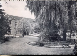 PK - Lokeren School - St Benedictus Instituut - Tuin - Lokeren