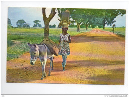 BUR 01 - Haute Volta - Une Femme S´en Va Au Marché - âne - Jeunesse Agricole Chrétienne - Mission - Burkina Faso
