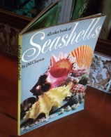 All Color Book Of SEASHELLS 1974 J. M. Clayton Les COQUILLAGES Illustré - Photographie