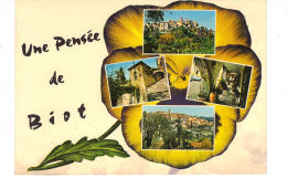 147-60 Souvenir De BIOT. Une Pensée De Biot - Biot