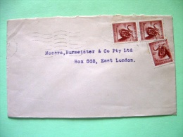 South Africa 1962 Cover Sent Locally - Gnu - Cartas & Documentos