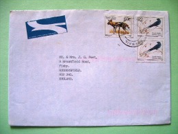 South Africa 2000 Cover To England - Wild Dog - Birds Swallows - Brieven En Documenten