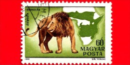 UNGHERIA - MAGYAR - 1981 - Fauna Dell'Africa - Leone - Lion - Posta Aerea - 60 - Nuovi