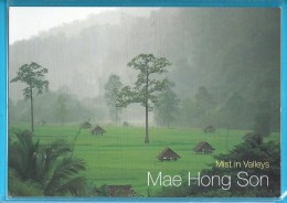 C.P.M. Thailande - Mae Hong Son - Mist In Valleys - Thailand
