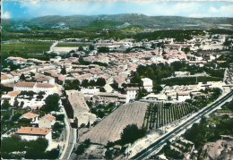 83  VIDAUBAN    -    Vue Générale - Vidauban