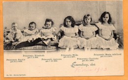 Grand Ducal Family 1905 Luxembourg Postcard - Famiglia Reale