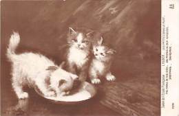 Fantaisie    Chats  Dessinés Ou Photographiés Ou Autres  (voir Scan) - Katten