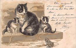 Fantaisie    Chats  Dessinés Ou Photographiés Ou Autres  (voir Scan) Grenouille - Katten