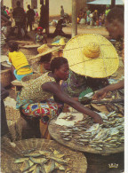 Africa,Fishing Sellers, Marchandes De Poissons,-  Old Photo Postcard - Unclassified