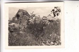 B 8920 LANGEMARK - POELKAPELLE, Zerstörungen 1.Weltkrieg, Soldatengrab, Photo - Langemark-Poelkapelle