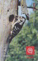 Télécarte SLOVENIE - ANIMAL - OISEAU - PIC EPEICHE - WOODPECKER Bird Phonecard - SPECHT Vogel Telefonkarte - 3284 - Slovénie