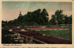 Glauchau. Rosarium - Glauchau