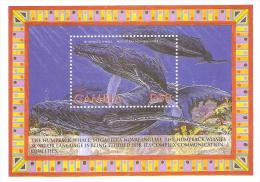 GAMBIA FOGLIETT NUOVO BALENA WHALES SHEET MNH - Walvissen