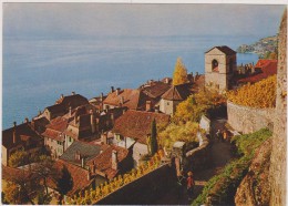 SUISSE,SCHWEIZ,HELVETIA,S WISS,SWITZERLAND,VAUX,LAVAUX ORON,SAINT SAPHORIN,LAC LEMAN,ENFANT DU PAYS - Oron