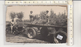 PO7205C# AGRICOLTURA - TRATTORE CON RIMORCHIO  No VG - Tractors