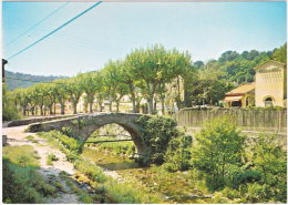 83. Gf. COLLOBRIERES. Le Pont Vieux - Collobrieres