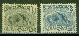 Fourmilier - GUYANE - Colonies Françaises - N° 49-50 * - 1904 - Oblitérés
