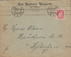 Norway LØVE APOTHEKET (Pharmacie) HAUGESUND 1910 Cancel Cover Brief To KØBENHAVN V. (Arrival) Denmark (2 Scans) - Brieven En Documenten