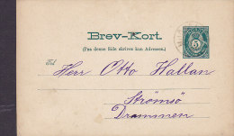 Norway Postal Stationery Ganzsache Entier Brev-kort MJÖNDALEN 1891 To STRÖMSÖ Drammen (2 Scans) - Postal Stationery