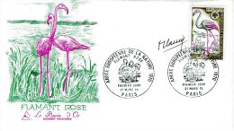 France 1970 FDC Autographed, Drawn And Engraved By Robert Cami "European Conservation Year- Flamingo " - Flamingo's