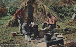 United States PPC Out In The Woods Playing Cards Black American Animation Valentine (2 Scans) - Negro Americana