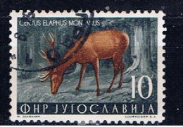 YU+ Jugoslawien 1954 Mi 740 Rothirsch - Used Stamps