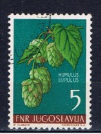 YU+ Jugoslawien 1955 Mi 765 Hopfen - Used Stamps