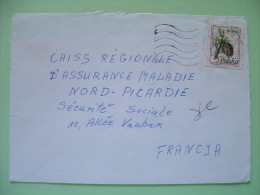 Poland 1996 Cover To France - Pine Cone - Cartas & Documentos