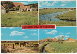 Delcampe - 1980 GROETEN VAN TERSCHELLING - Terschelling