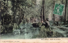 80 Ailly Sur Noye Rives De La Noye Animée Colorisée - Ailly Sur Noye