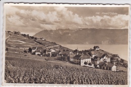 ARAN  Sur VILLETTE   - PANORAMA  - CPSM - Villette